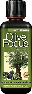 Olive Focus concentrated fertiliser, 300ml