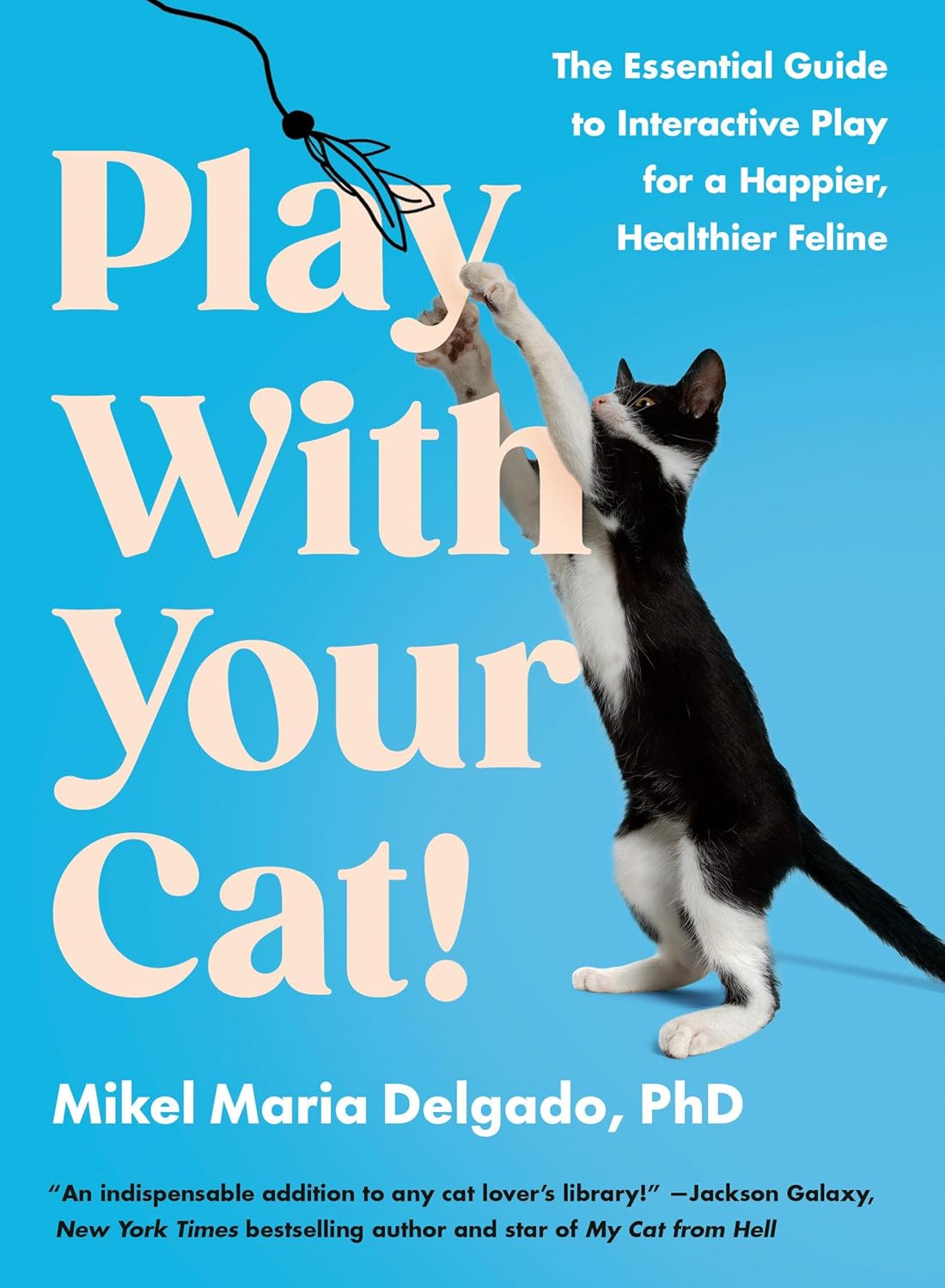 Play With Your Cat! The Essential Guide to Interactive Play for a