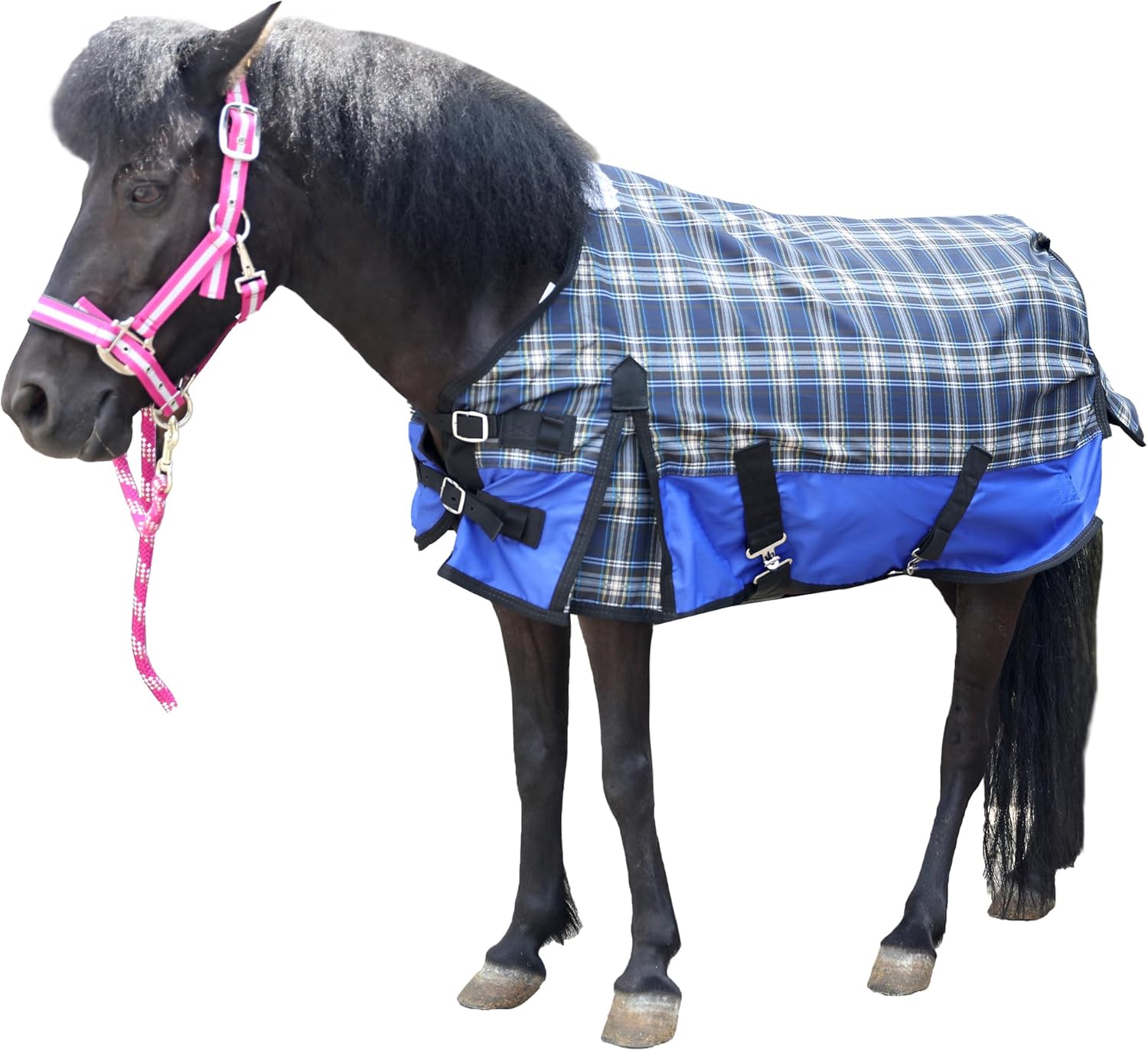 LEAFOREST 600D Polyester Waterproof Shetland Pony Foal Rug Blue 48"