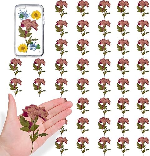 42 rosas secas prensadas con tallo y hojas para manualidades de resina, flores de rosas secas prensadas reales naturales para resina, bricolaje,