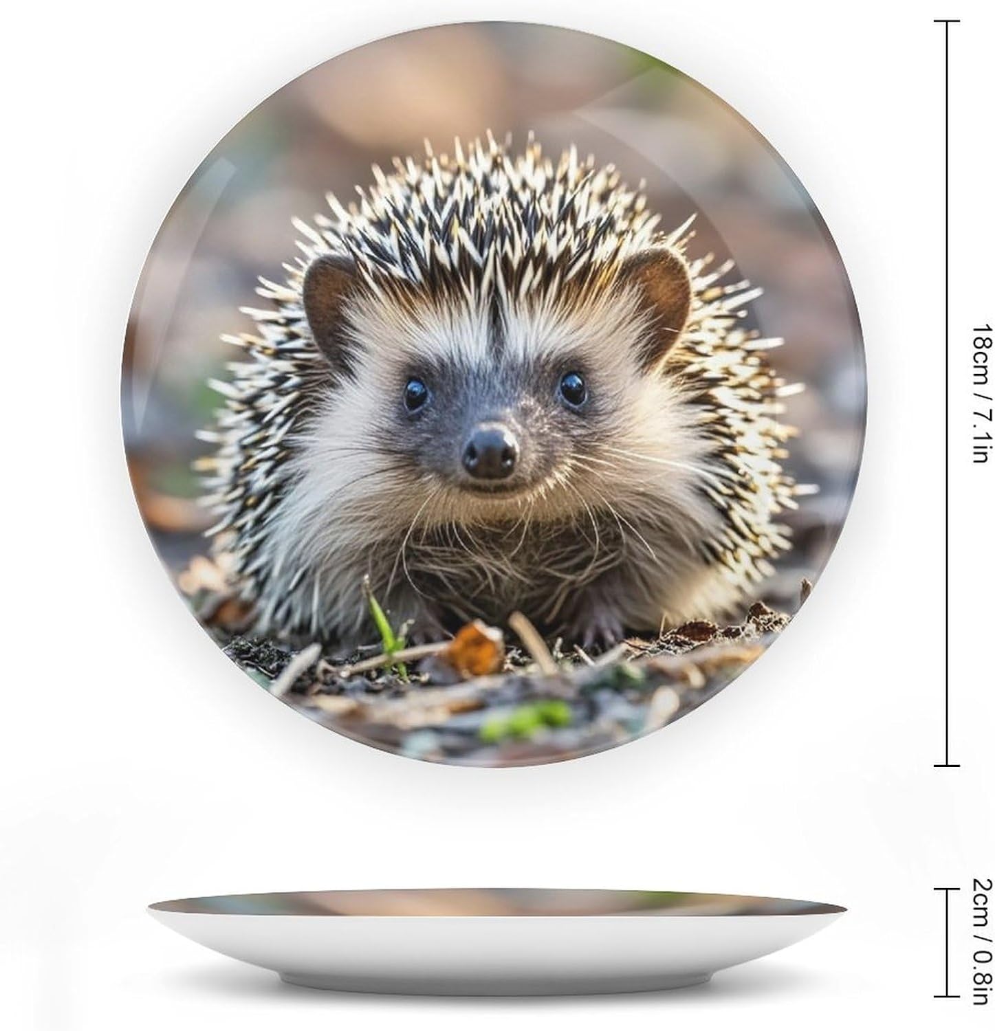 Hedgehog Ceramic Plate 10inch Decorative Bone China Wall Hanging Ornament Plates Bohemian Style Dinner Plate with Display Stand Cabinet Display Plates for Home Art Decor