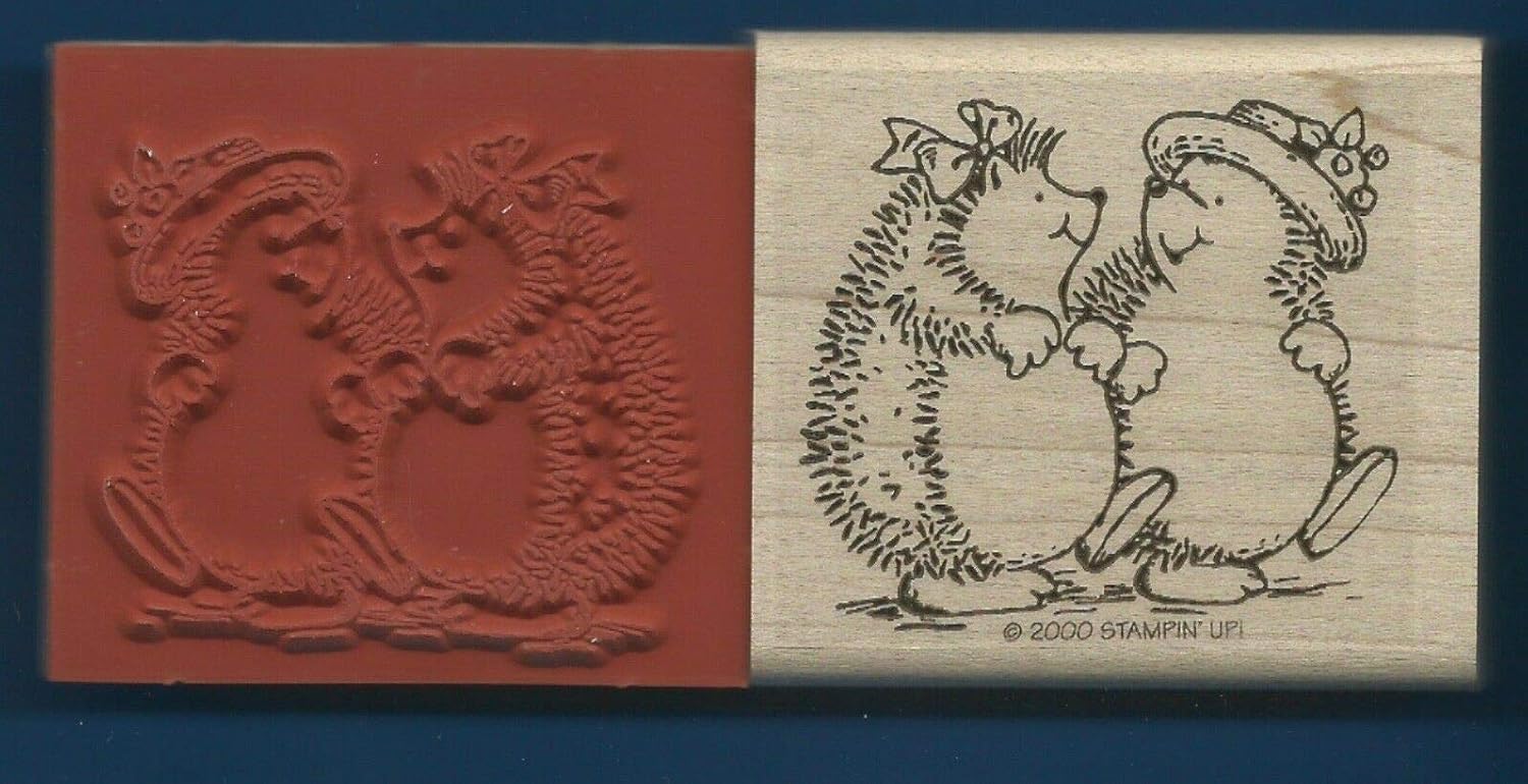 Rubber Stamps Hedgehog Girl Friends Card Gift Tag 2000 Wood Mount Stamp for Teaching Card Making, DIY Crafts, Scrapbooking