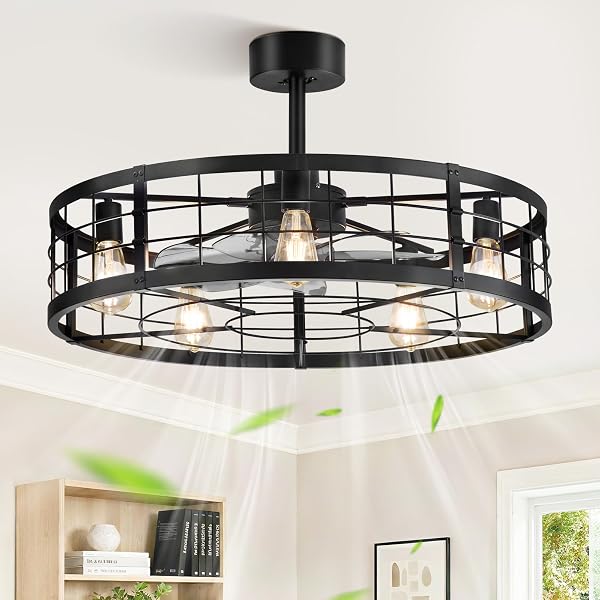 LEDIARY 30 Inch Fandelier Caged Ceiling Fan with Light and Remote, Black