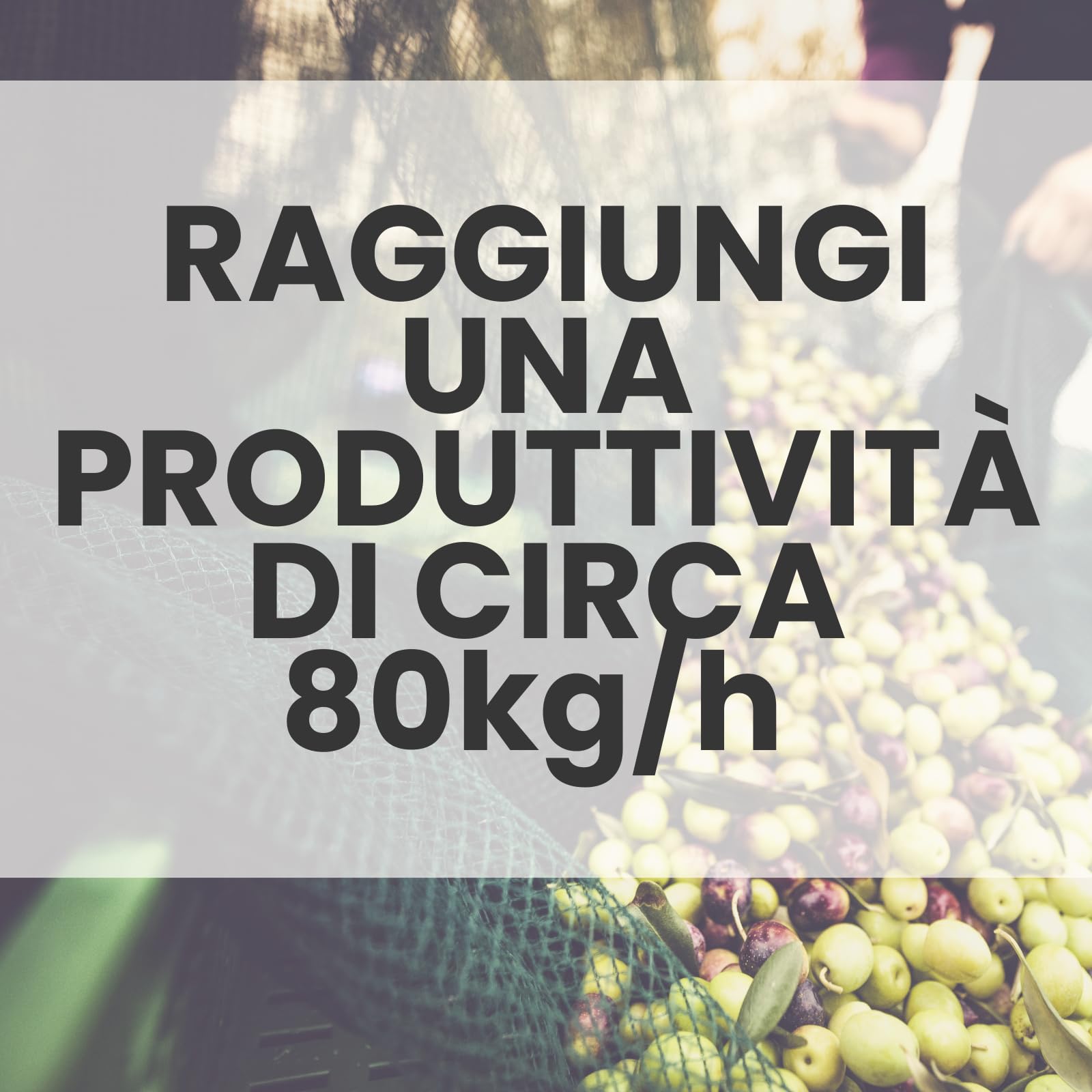 Generico Abbacchiatore Olive Elettrico 12V con Asta Telescopica 2-3m, 800 Battiti/Min, Pettini in Tecnopolimero – Scuotitore Professionale Leggero e Potente per Raccolta Olive
