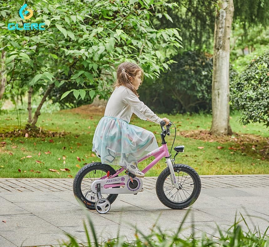 Glerc Kids Bike 14 Inch Bicycle with Training Wheels & Bottle Cage ...