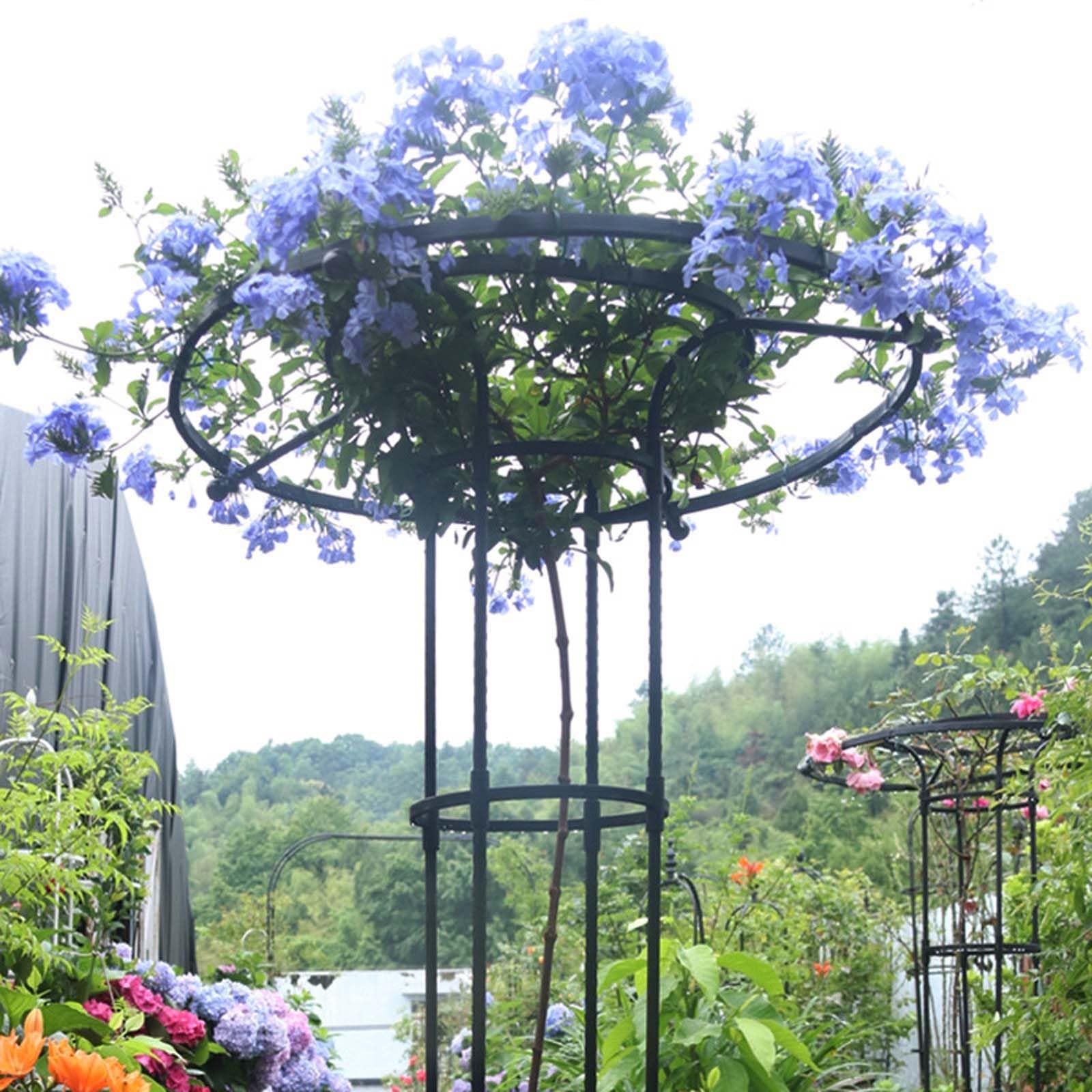 Treille de Jardin Vertical pour Plantes Grimpantes - 210 cm - Support en Métal Inoxydable pour Glycines, Roses & Vignes - Support Floral Extérieur Durable avec Parasol (Noir)