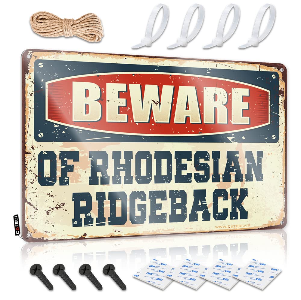 KAXW Grappige metalen borden decor haven meester parkeren alleen houten bord garage borden grappige grappige metalen staafborden (23 x 35 cm