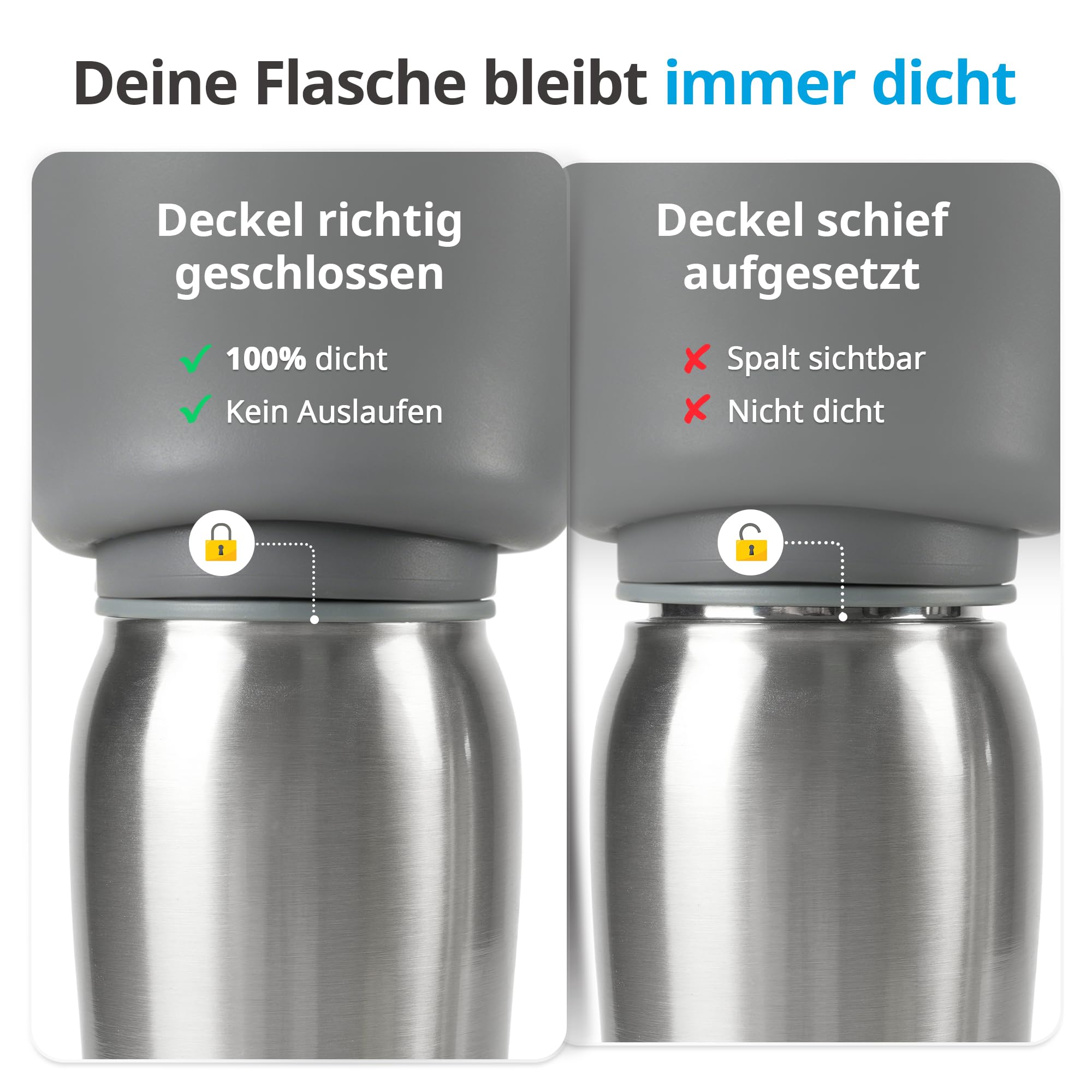 Hunde Trinkflasche für Unterwegs, 750 ml Isolierte Edelstahl Hundetrinkflasche, Tragbare Wasserflasche Hund, Doppelwandig Vakuum Isolierte