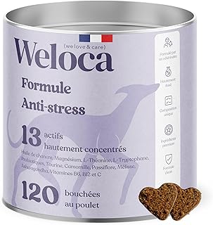 Anti-Stress Chien - 13 Actifs puissants naturels - Calmant pour Chiens stressés, anxieux, réactifs, Chiens hyperactifs - 120 bouchées apaisantes savoureuses - Complément Alimentaire Chien