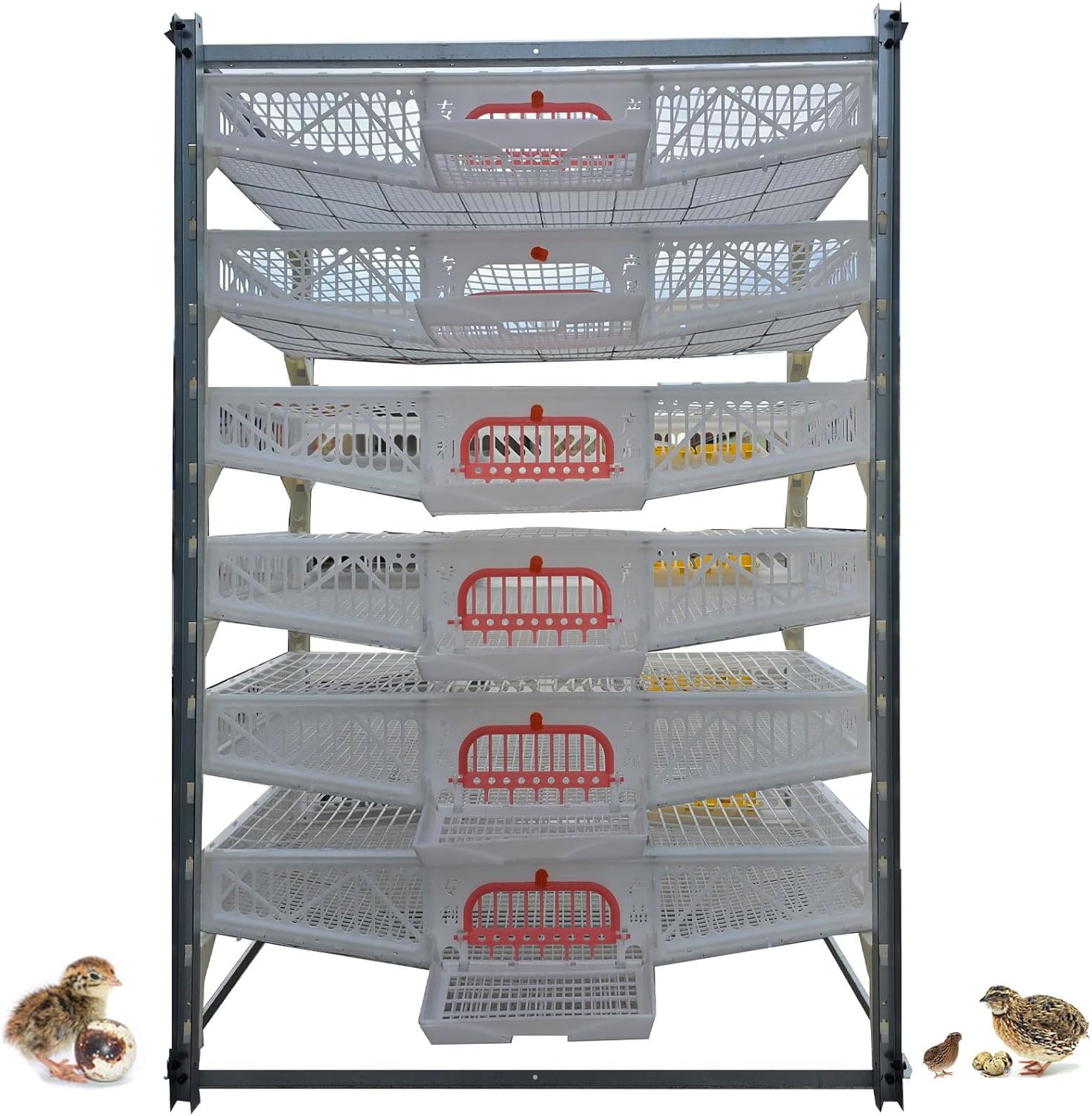6 layers Quail Cages Large quail rearing cage with water trough and feeding 60-70 quails per layer Feeding box Automatic egg laying Metal frame color: white