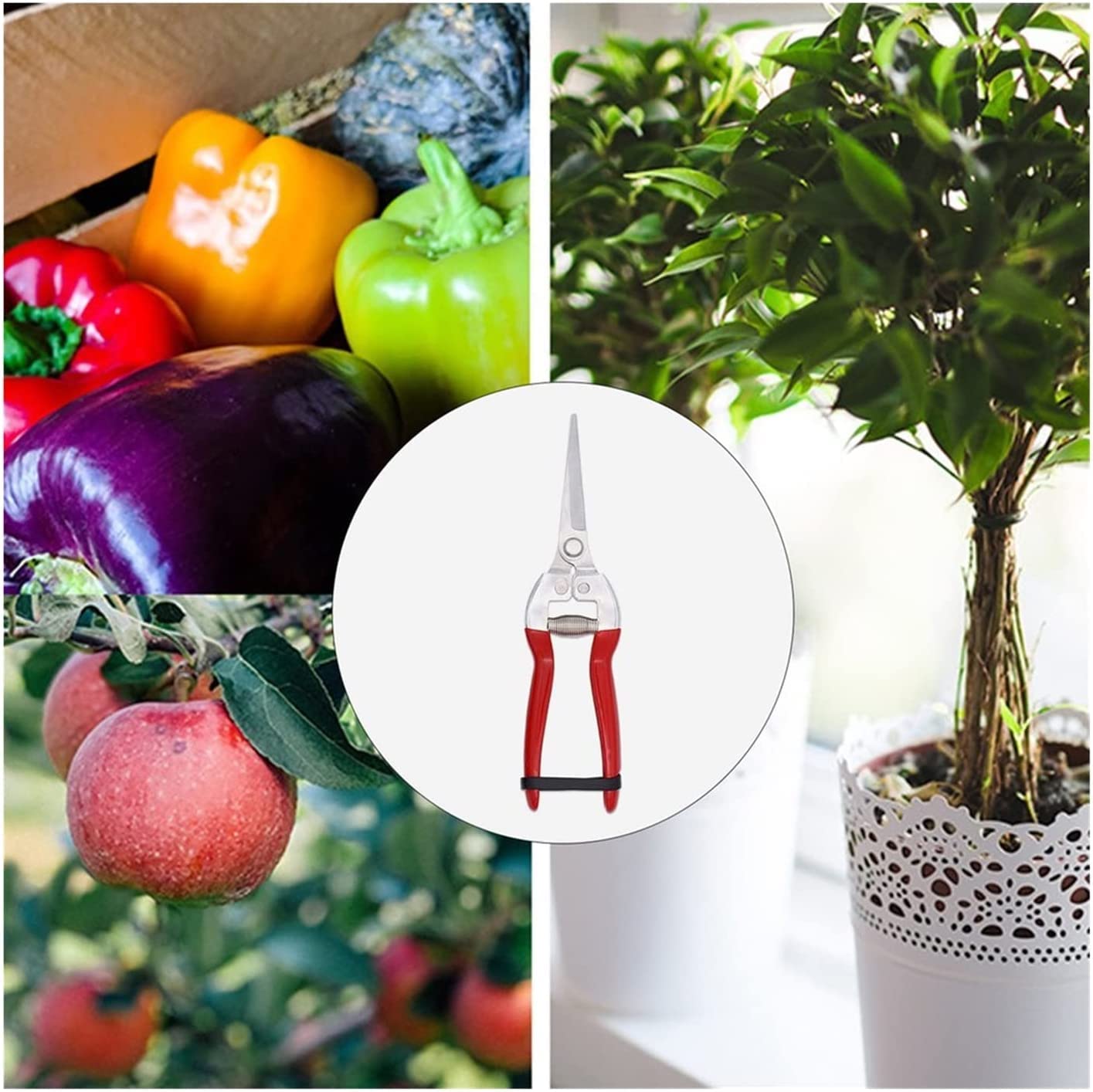 Cesoie da potatura, cesoie manuali, strumento di rifinitura Forbici in acciaio inossidabile Cesoie da potatura professionali affilate Bypass Cesoie per alberi Potatori manuali per giardino e versatili