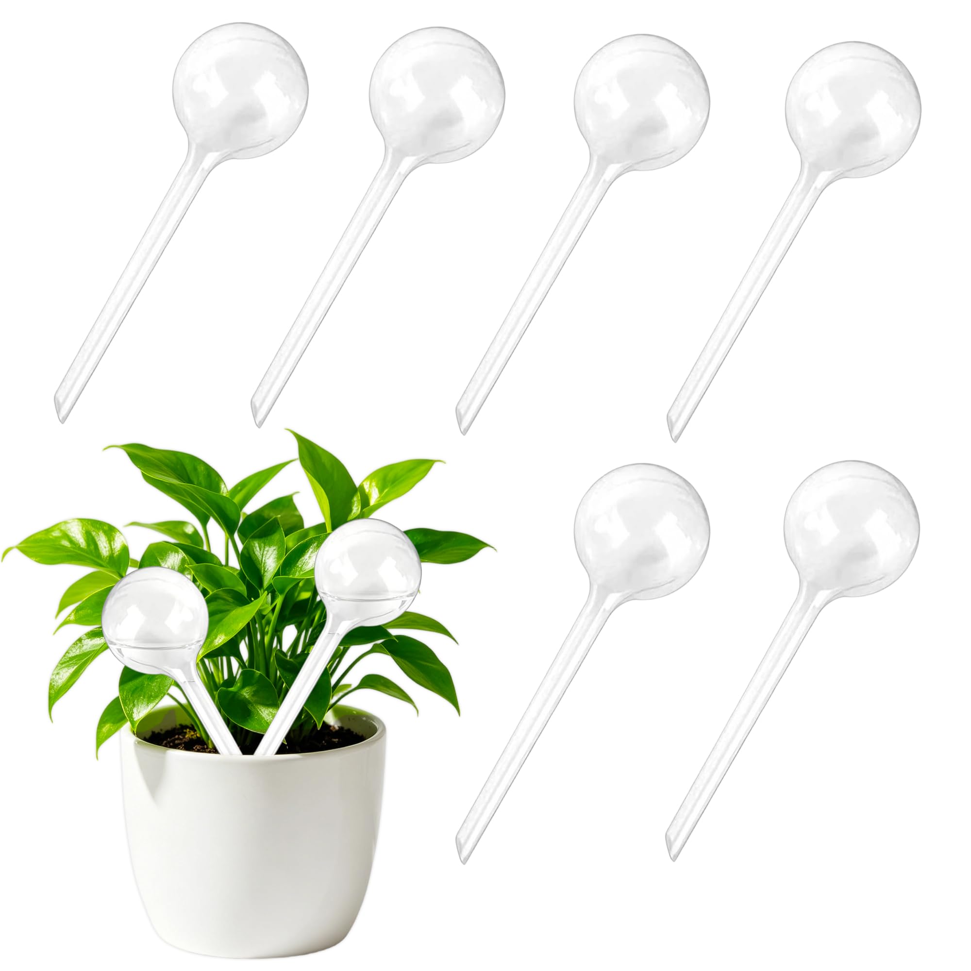 Alluring 6PCS Bewässerungskugeln für Pflanzen 80ml, Selbstbewässerung Watering Globes, Wasserkugeln für Pflanzen, Blumen Wasserspender für Urlaub Indoor Outdoor Balkon Blumentopf Topfpflanzen
