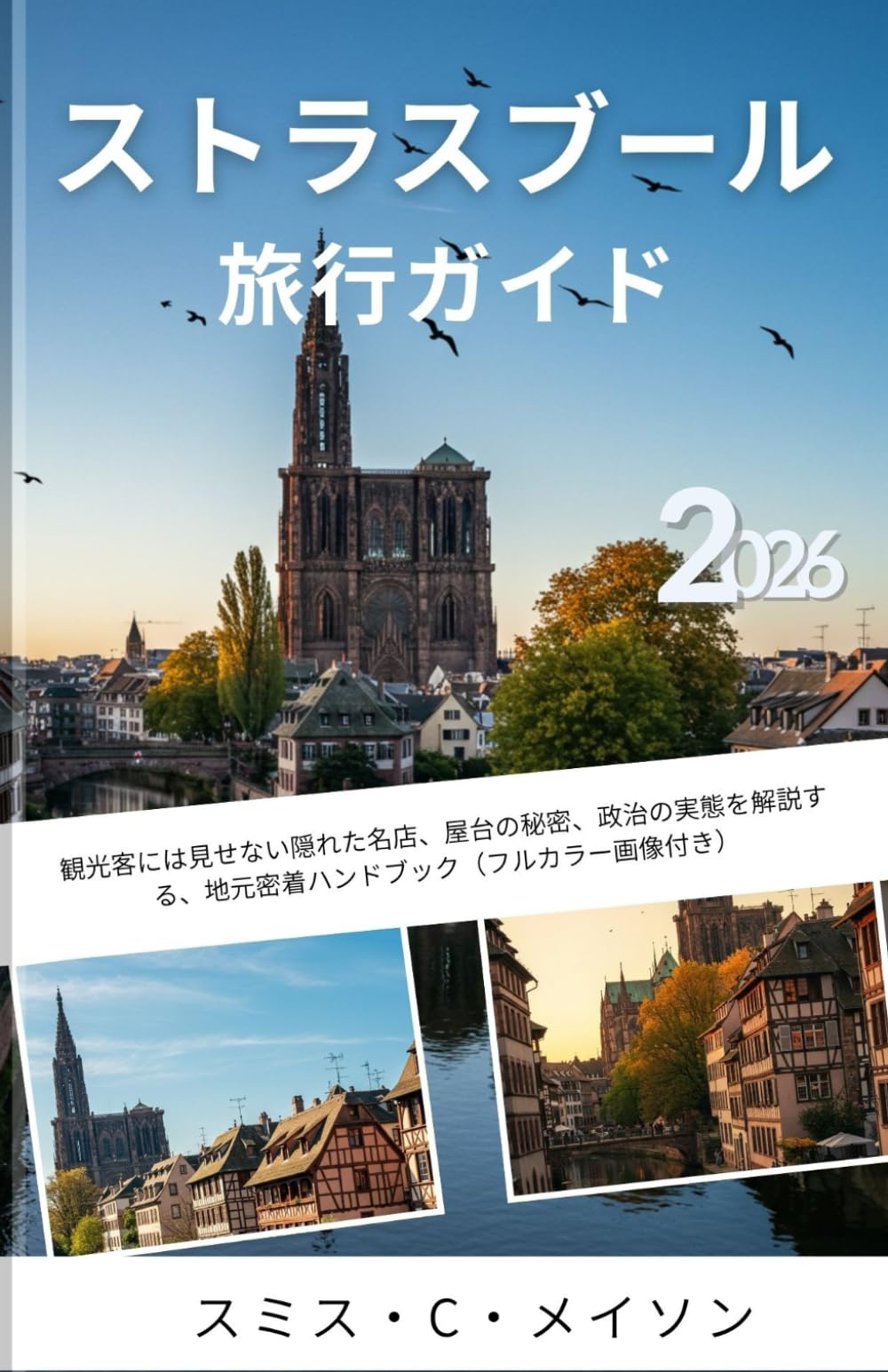 ストラスブール旅行ガイド 2026: 観光客には見せない隠れた名店、屋台の秘密、政治の実態を解説する、地元密着ハンドブック（フルカラー画像付き）