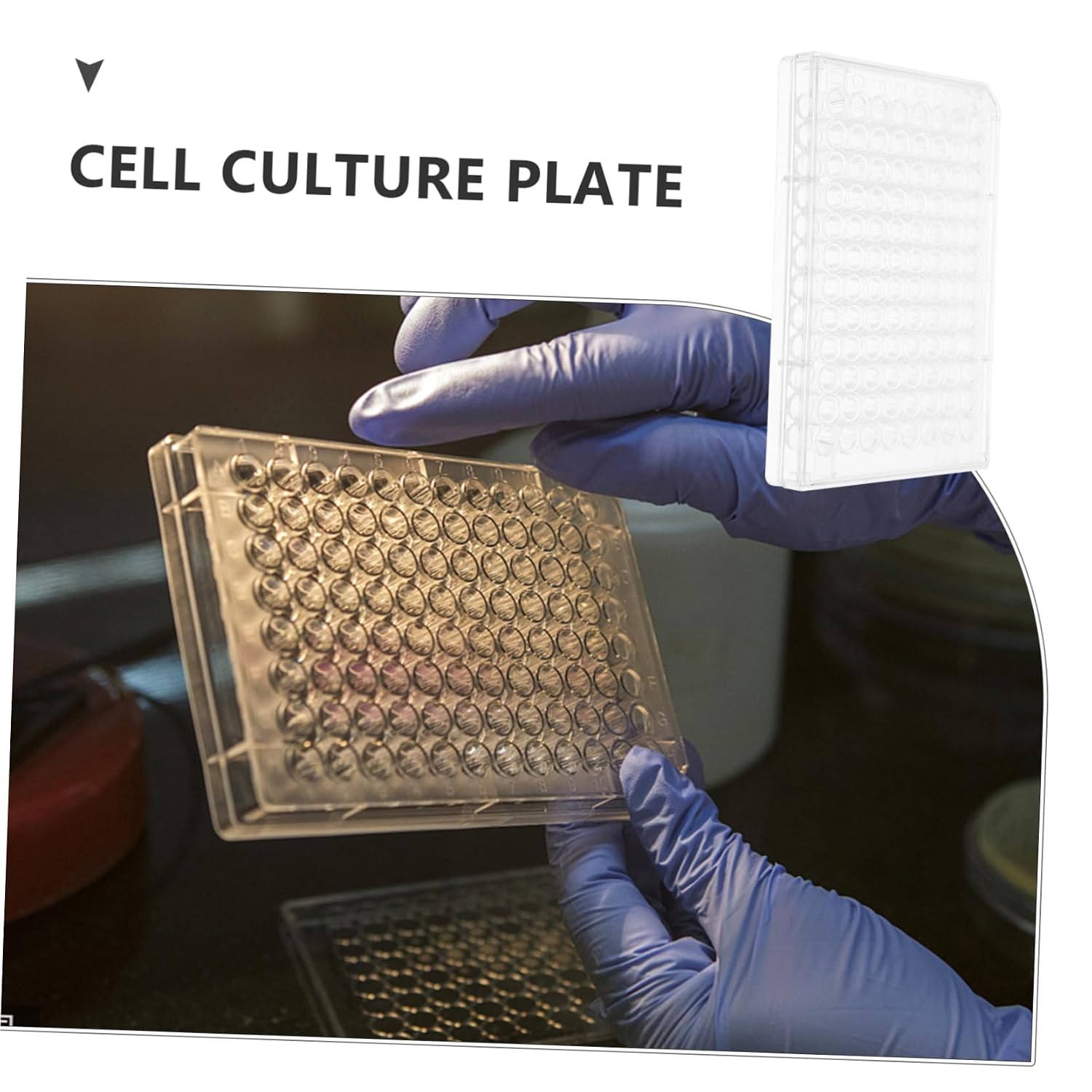 PRETYZOOM 2 pcs Disposable Cell Culture Plates for Laboratory Plate with Lids for Cell Growth
