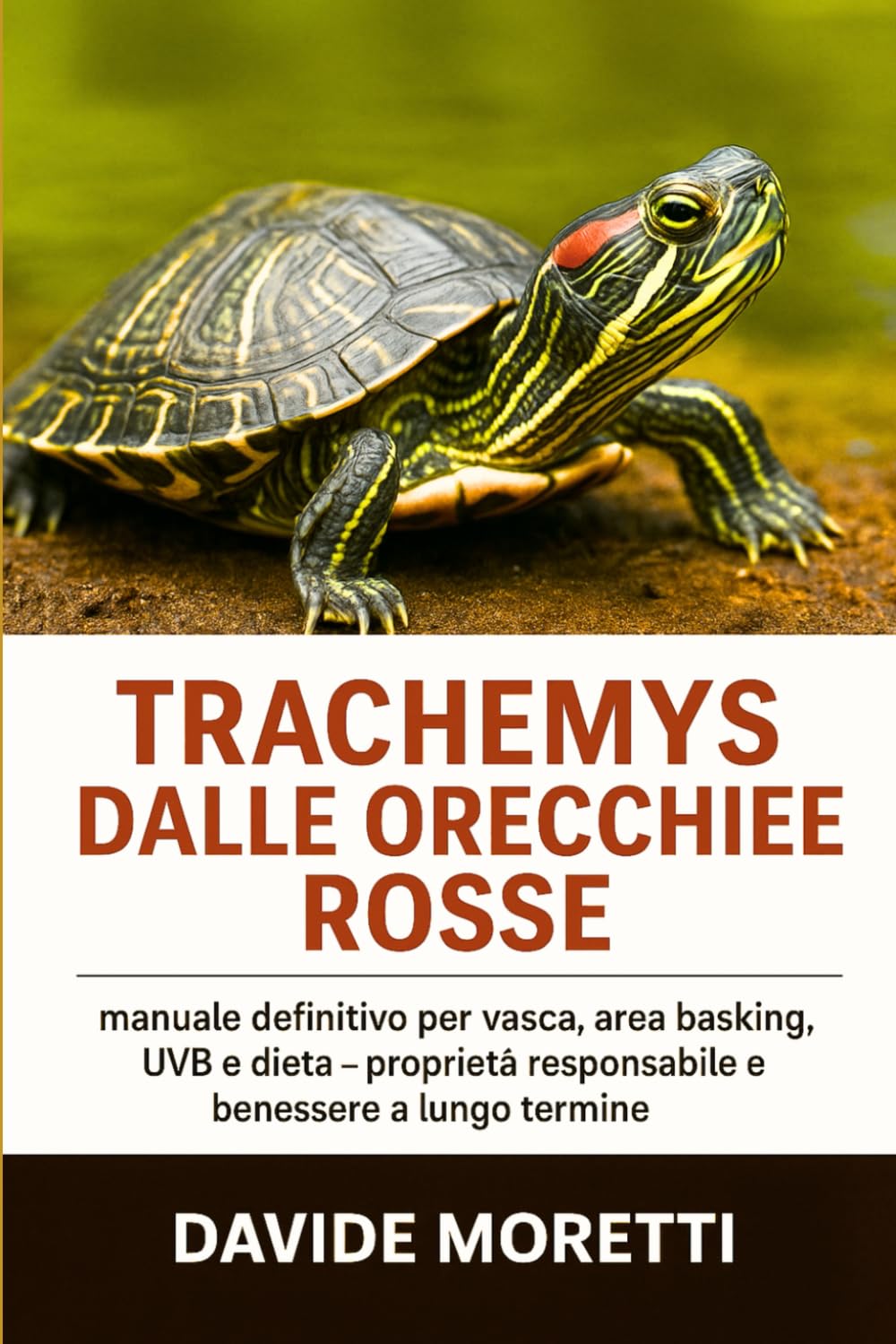 Trachemys dalle Orecchie Rosse: manuale definitivo per vasca, area basking, UVB e dieta – proprietà responsabile e benessere a lungo termine