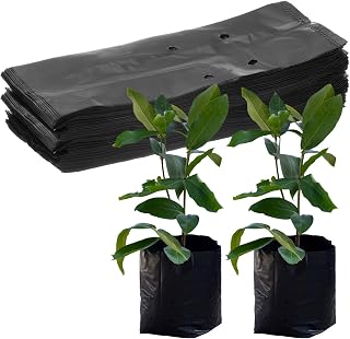 M METERXITY 100-Pack Nursery Growing Bags, 6.7" x 9.8" Thicken Plastic Nursery Bags, Gardening Seed Plant Bags for Potato/Flower/Tomato/Plant Starts/Home Gardening Supplies [Black]