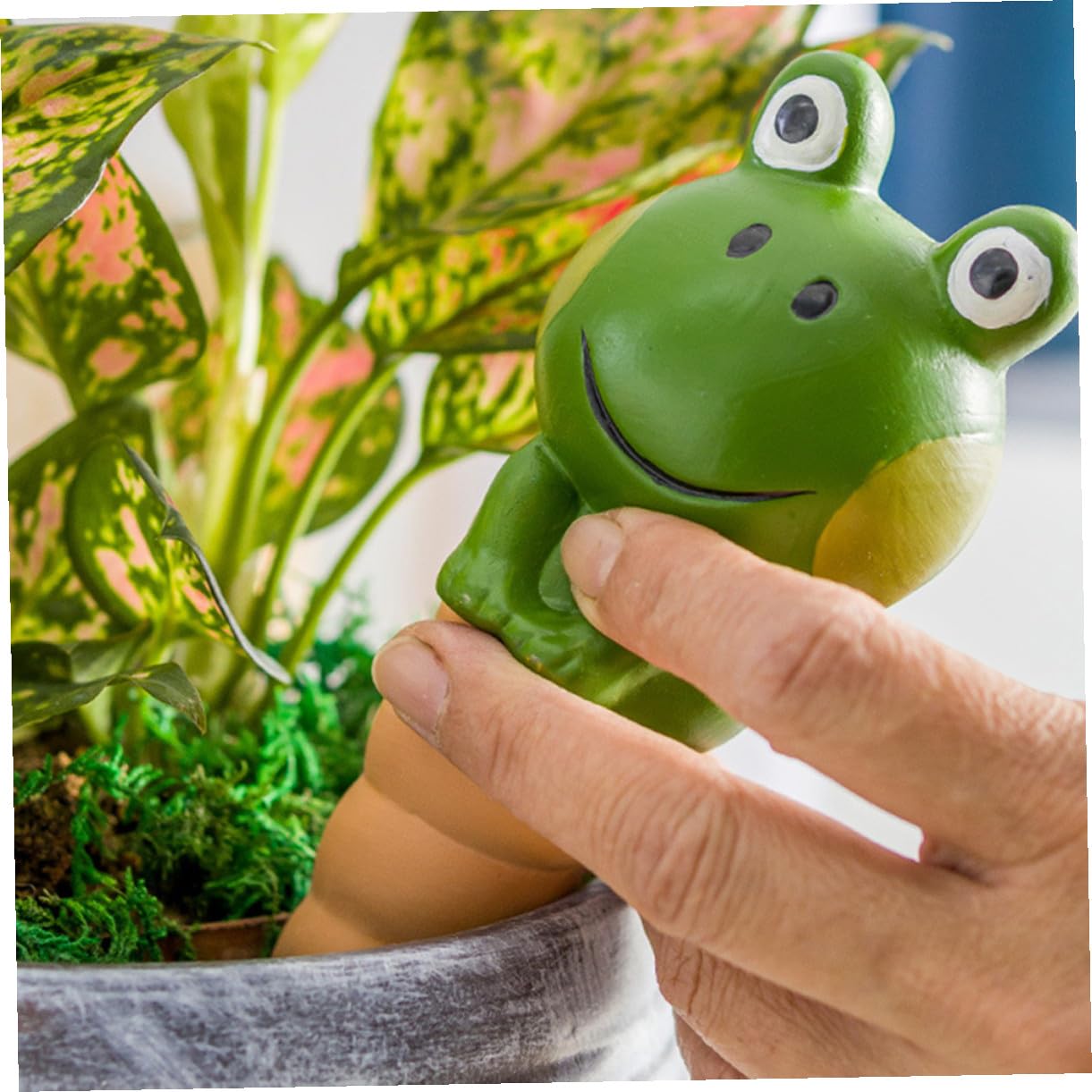 Supvox 4 Stück Teiliges Bewässerungskegel für Zimmer Gartenpflanzen Automatische Selbstbewässerung Langlebig Einfach zu Bedienen für Topfpflanzen und Blumen