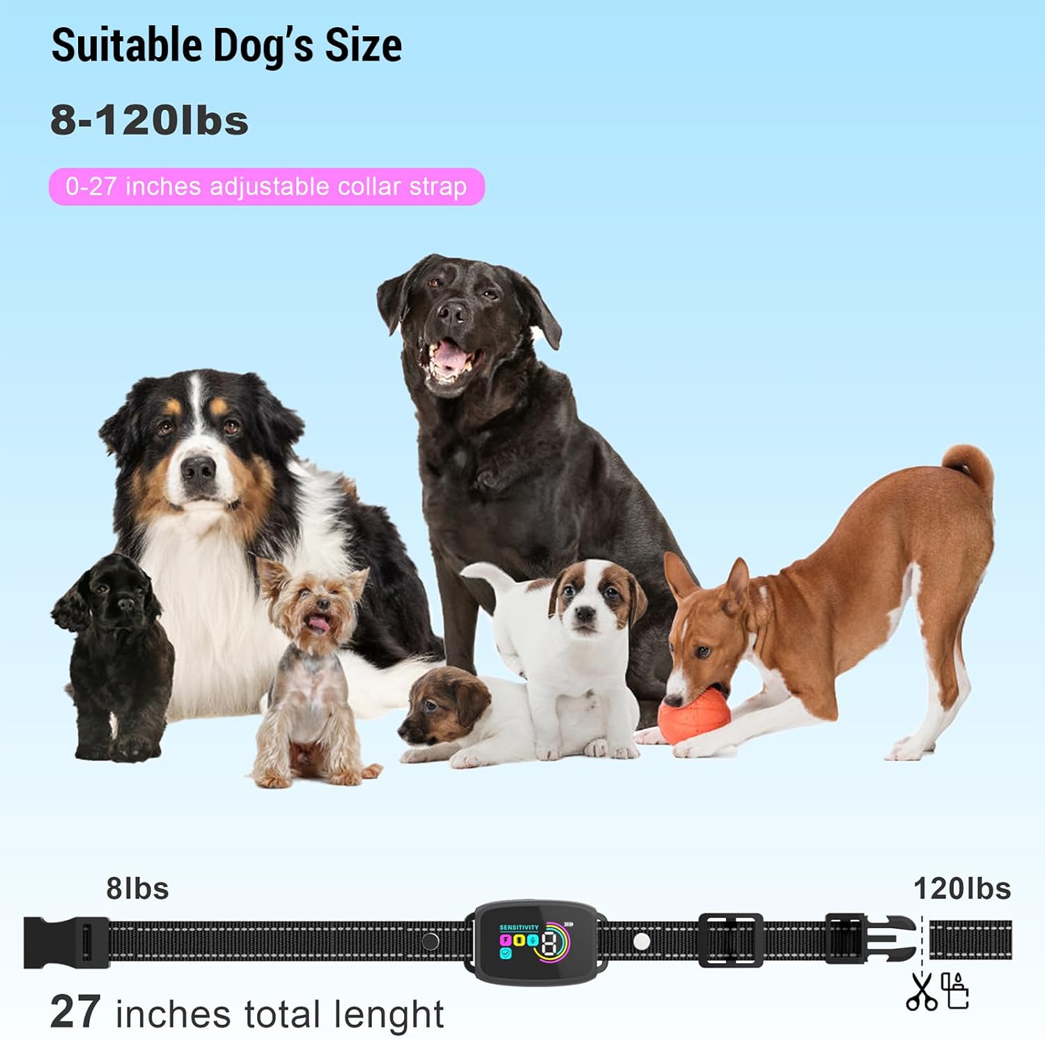 Utilisation en situation du collier anti-aboiement Irishom