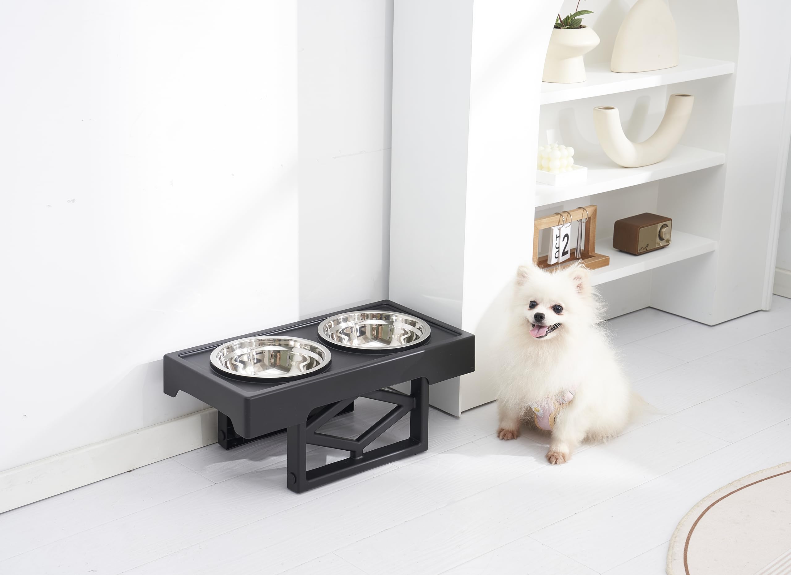 Lanco - Comedero para Mascotas. para Sólidos y líquidos. Fácil Limpieza. Elegante diseño. Evita Dolor de Cuello por su Altura.