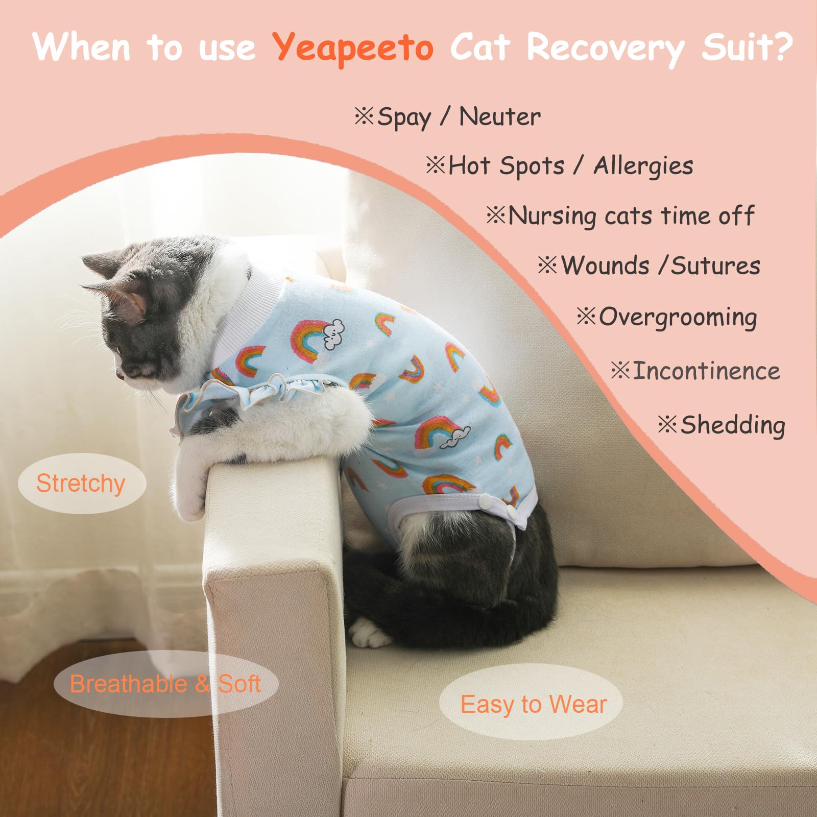 Kitten Recovery Suit After Spaying Cat Surgery Recovery Suit, Cat