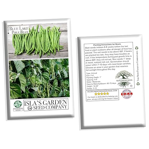 Miniatura 4 de Blue Lake Pole - Semillas de frijol para plantar, más de 50 semillas de frijoles verdes tradicionales por paquete, semillas de jardín de Isla,