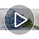 5pcs Blue Delphinium Artificial Flowers, 33" Silk Larkspur Faux Flower with Long Stem Fake Bouquet for Tall Floor Vase Kitchen Home Indoor Hyacinth Floral Plant 4th of July Centerpiece Decor