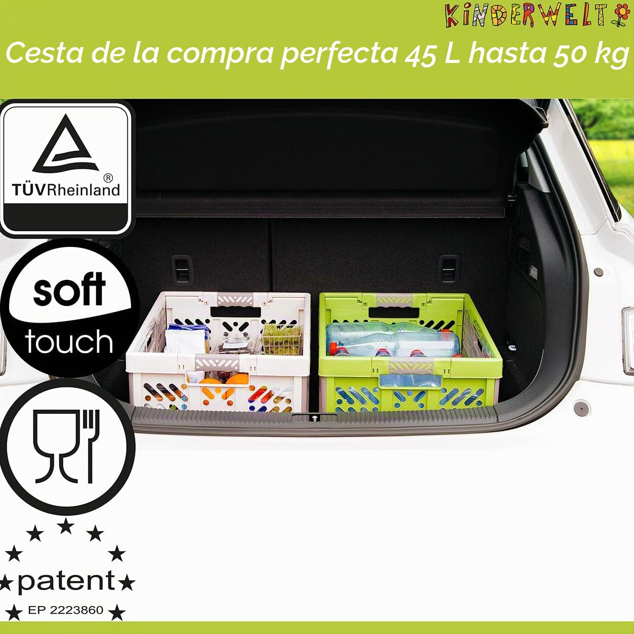 KiNDERWELT 2 x Caja plegable robusta profesional 45 L hasta 50 kg - Caja, cesta, contenedor para almacenamiento, transporte - azul