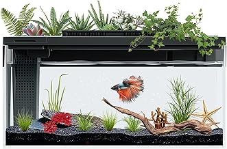 3.7 Gallon Betta Fish Tank self Cleaning,Smart Aquarium Aquarium kit with Filter Light Water Pump