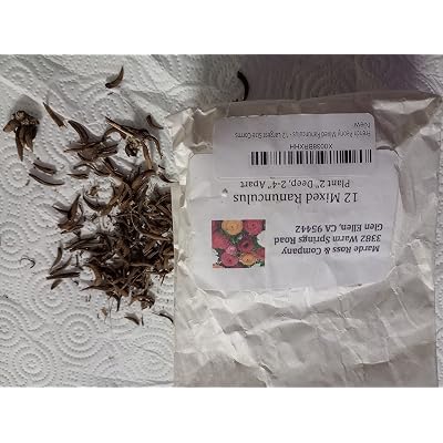 ubuy Nigeria