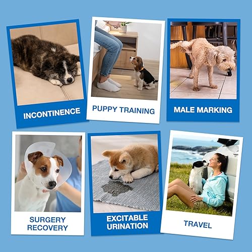 Miniatura 7 de Dono Pañales desechables para perros machos, 20 unidades, indicador de humedad a prueba de fugas, con tecnología de gel de secado rápido, para