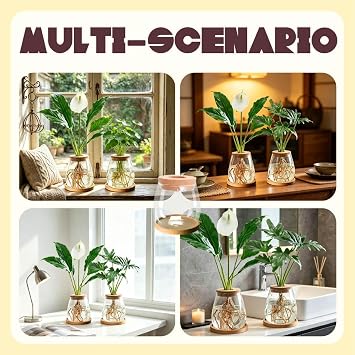 MEETOZ Hydroponic Plant Glass Container, 2 Plant Growing Station, with Wooden Tray, Desktop Glass Planter for Hydroponics Plants Coffee Shop Room Decor 