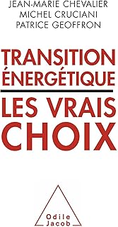 Transition &eacute;nerg&eacute;tique : les vrais choix (Sciences Humaines)