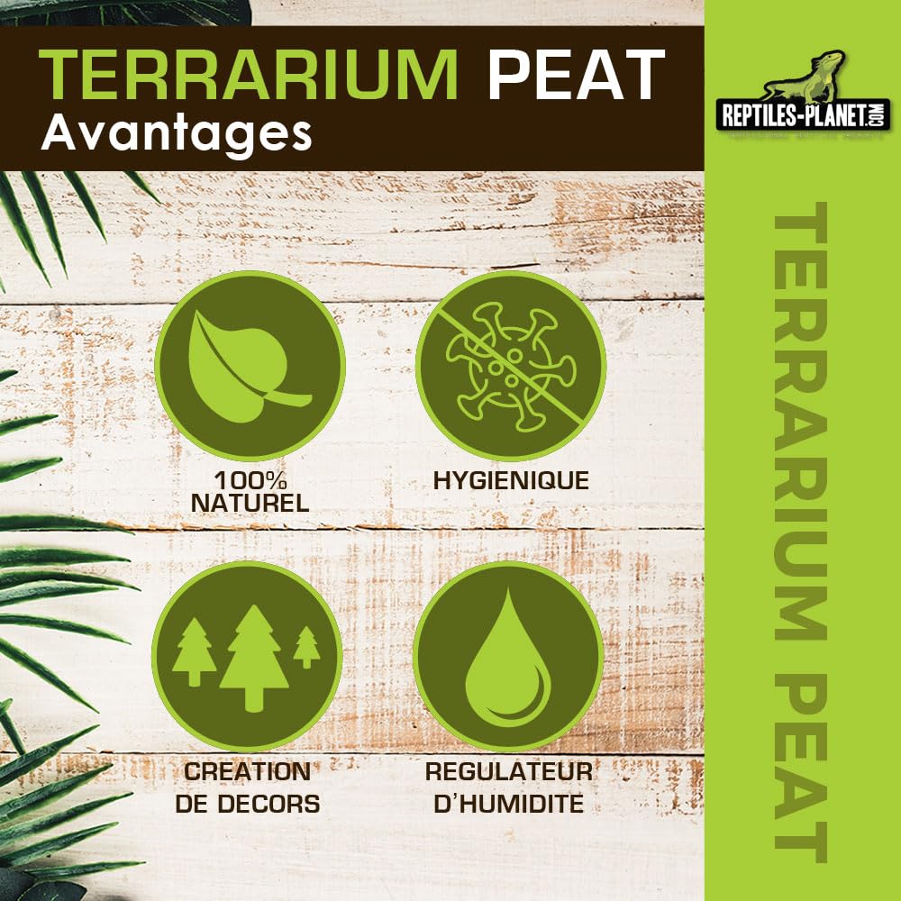 Reptiles-Planet Terrarium podłoże z gadów torfowych, 6 litrów