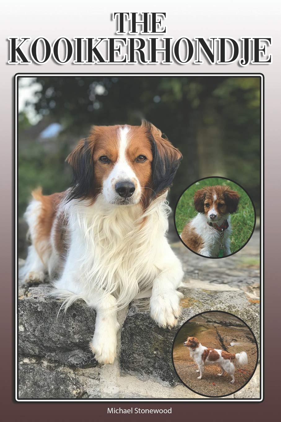 The Kooikerhondje: A Complete and Comprehensive Owners Guide to: Buying, Owning, Health, Grooming, Training, Obedience, Understanding and Caring for Your Kooikerhondje