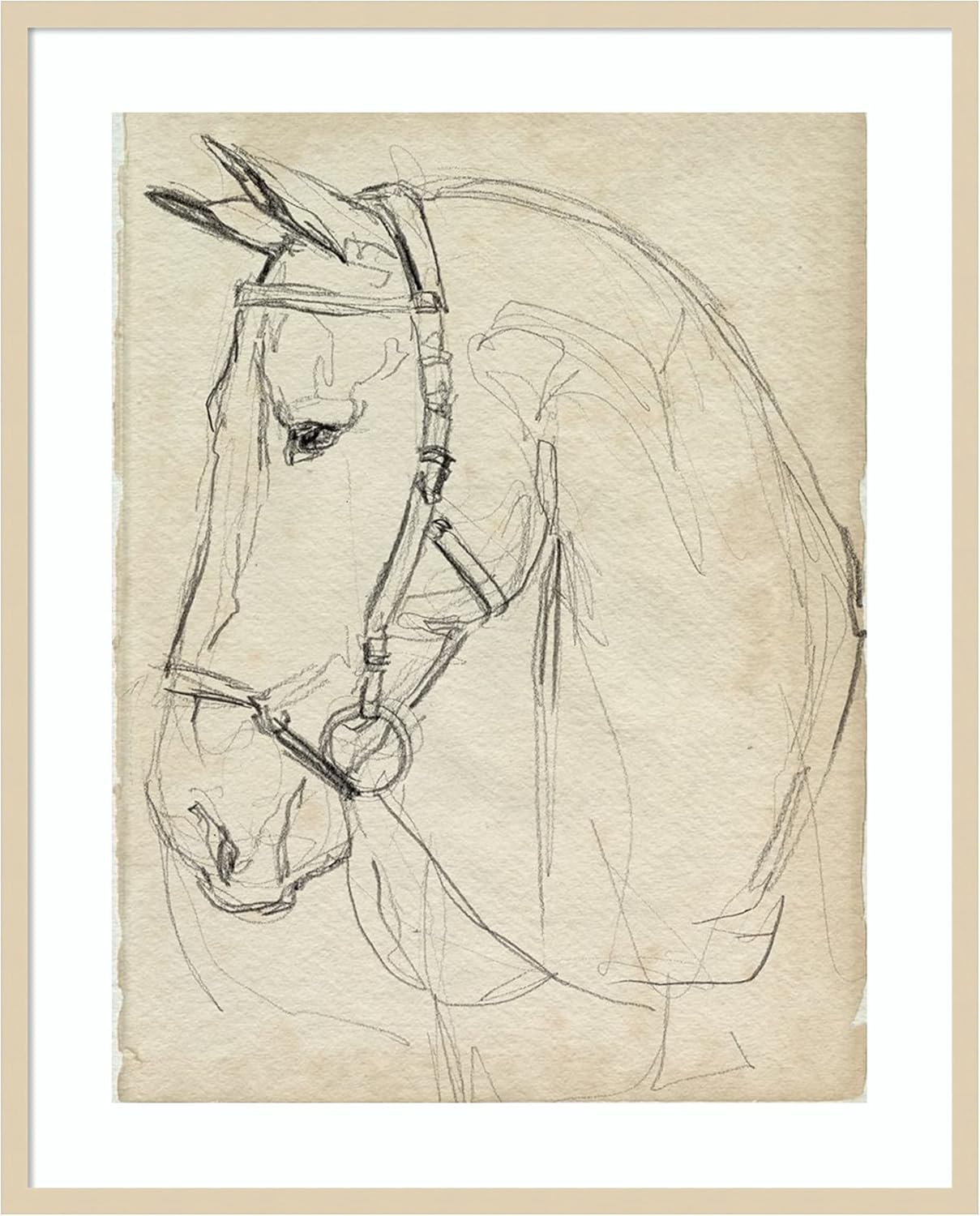 Amanti Art Framed Canvas Wall Art 30x23 Horse in Bridle Sketch II by Jennifer Paxton Parker, Framed Wall Art Canvas, Animals Artwork, Modern Contemporary Decor, Large Painting for Living Room, Bedroom