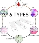 Prepared Microscope Slides with Specimens 100Pcs for Kids Students Science | Animal Plant Insect Specimens, Optical Glass with Labels, STEM Kit for Homeschool Classroom Lab & Science Education