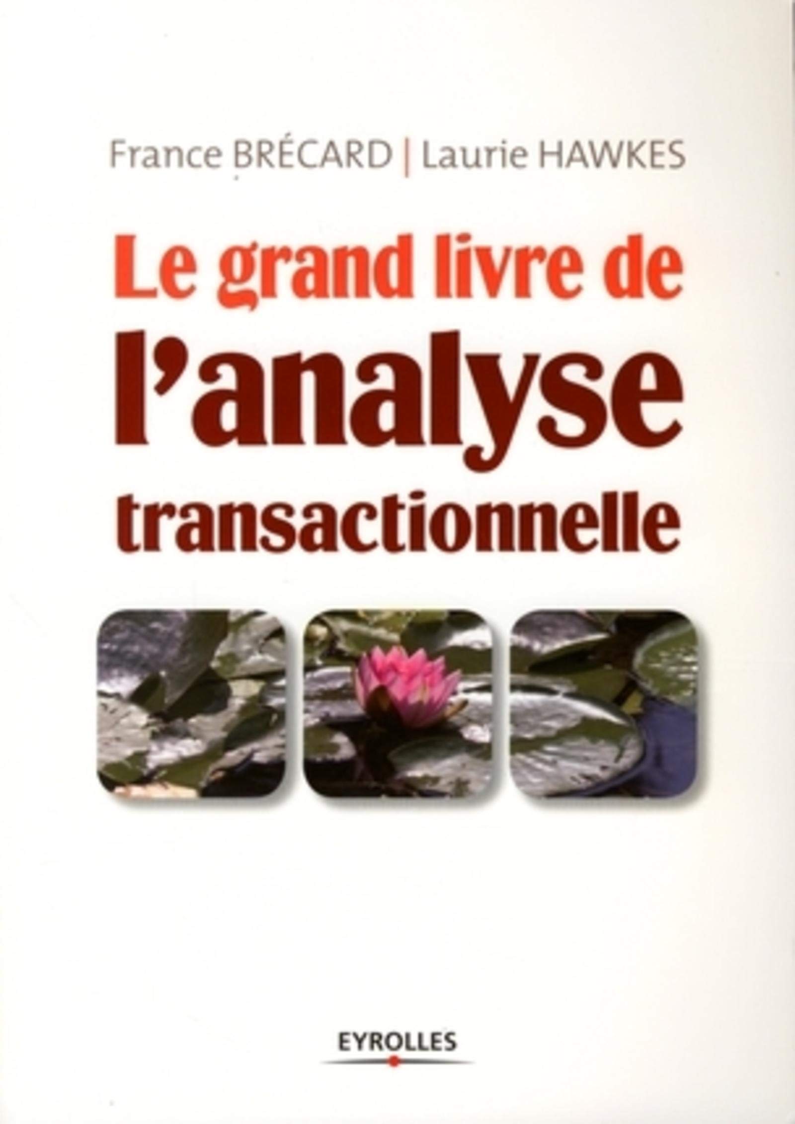 Le Grand Livre De L Analyse Transactionnelle