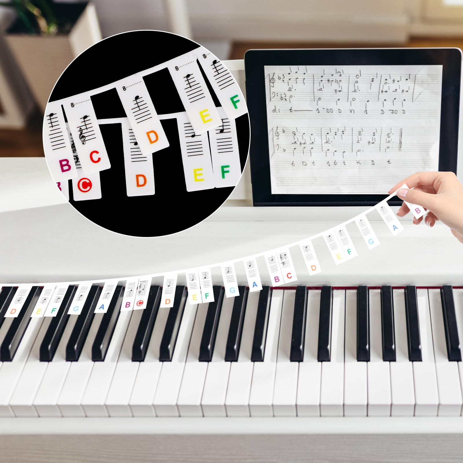 DIYASY Removable Piano Keyboard Note Labels 88 Keys for Learning, Piano Keyboard Guide Silicone Piano Accessories for Beginners No Need Stickers (Rainbow Colors)