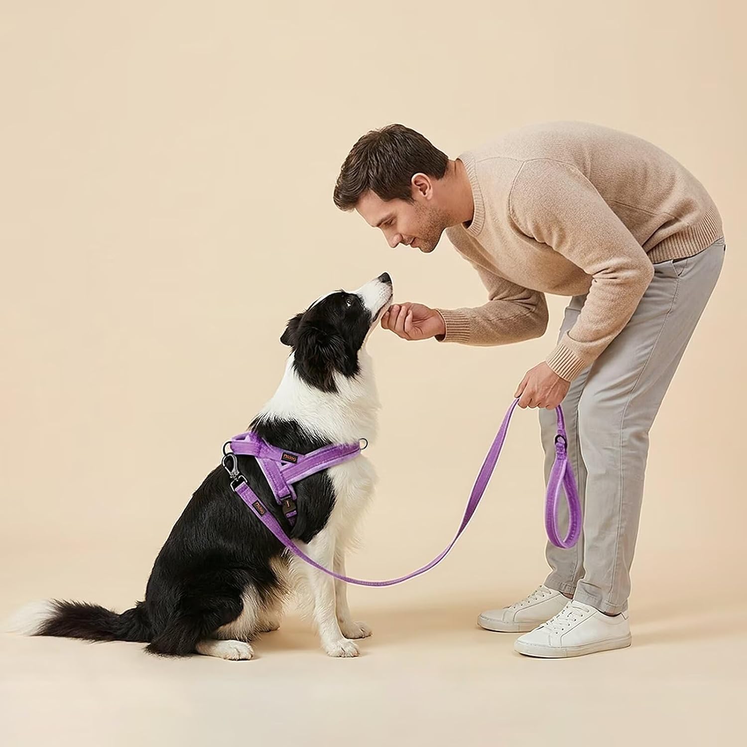 Dog Harness & 6FT Reflective Leash Set: No-Pull Padded Vest, Quick-Fit Reflective Strap, 6FT Training Leash with Comfort Handle for Small Medium Large Dogs