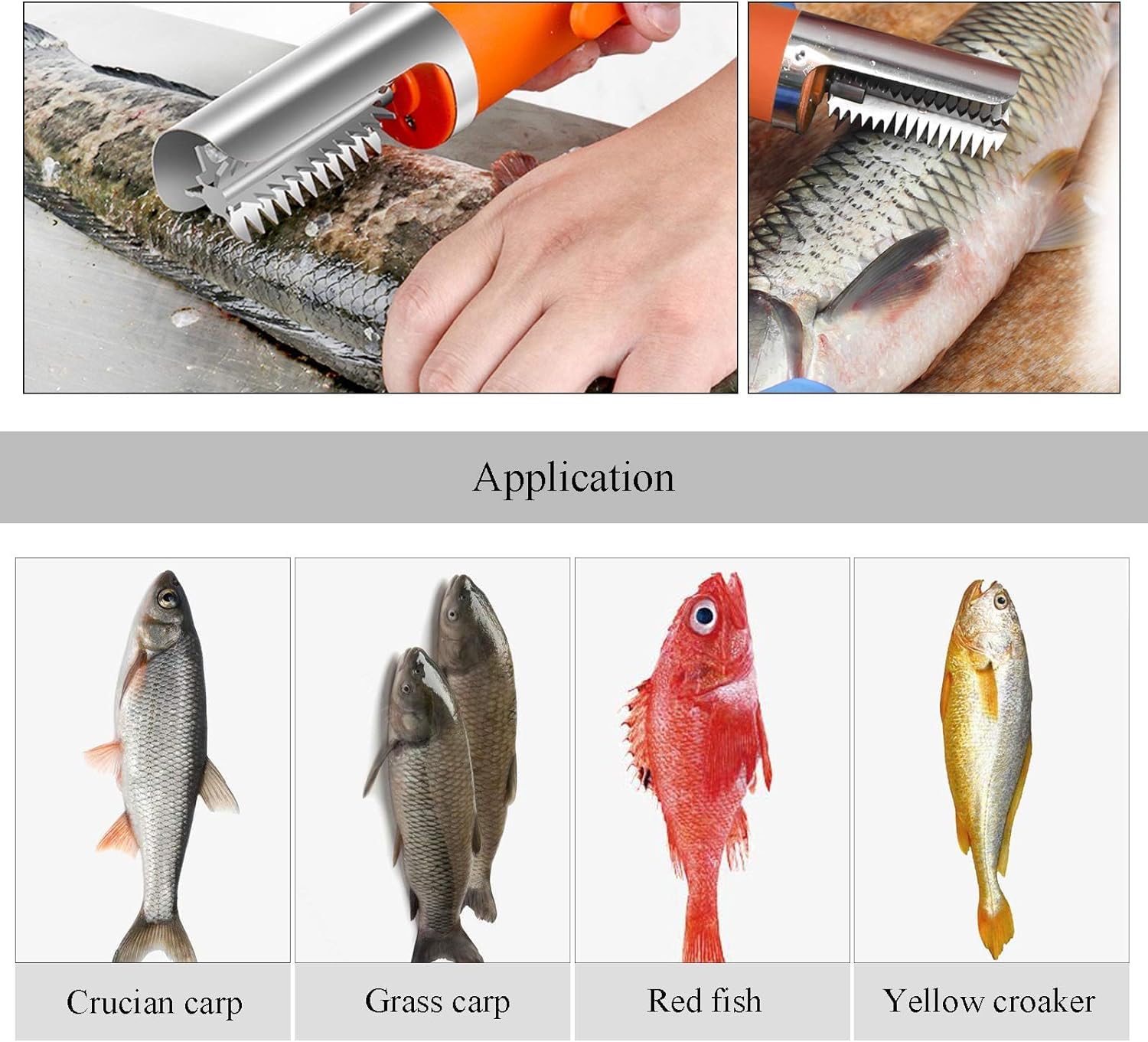 MXBAOHENG Elektrische Fischschuppen Entferner mit 1 Akku 2200mAh Wiederaufladbarer Elektrischer Fischschupper Wasserdicht 7000 RPM für Fischmärkte, Restaurants, Küchen (orange 1 Batterie)