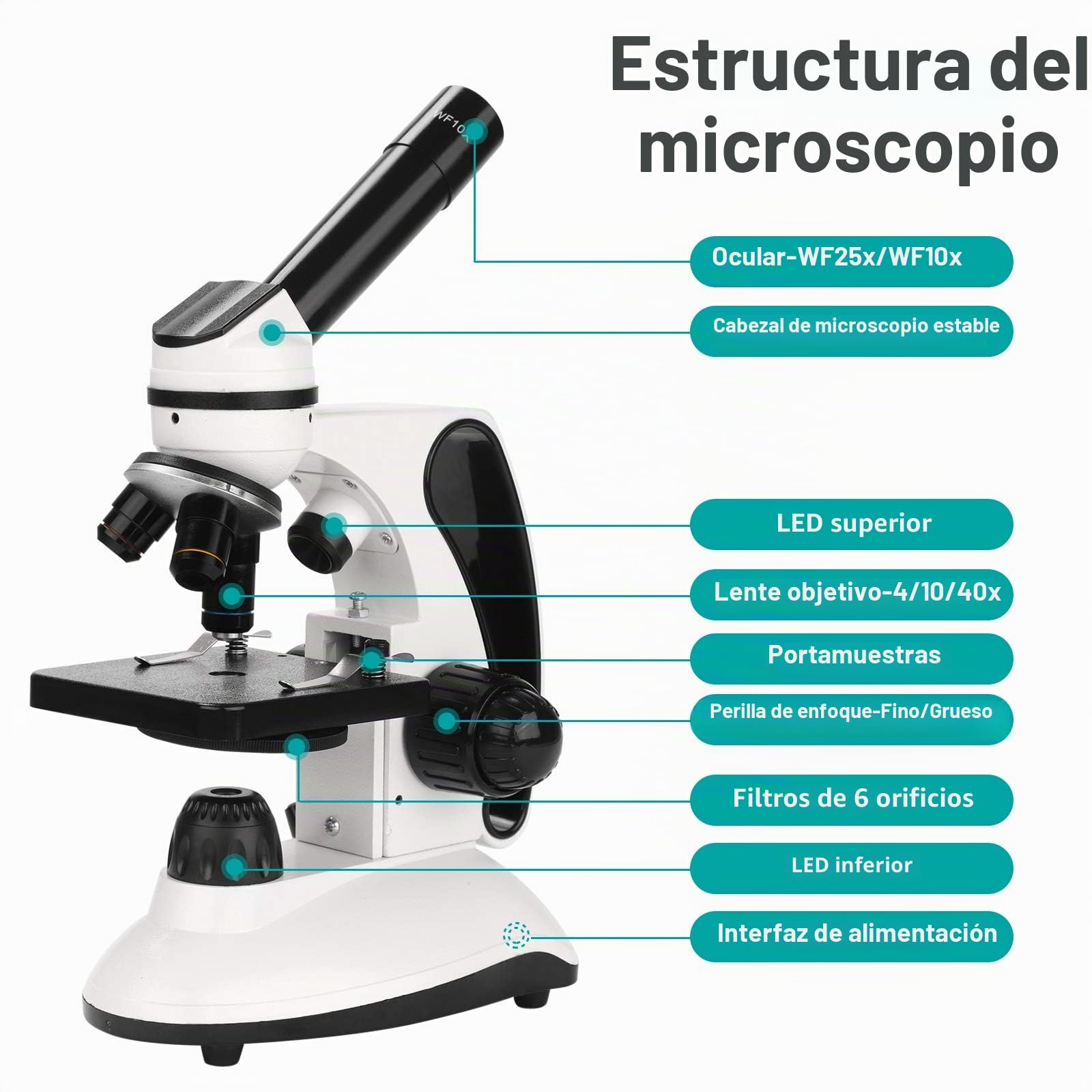 Microscopio para Niños 40X-2000X Microscopio Profesional, con Adaptador de Teléfono, Juego de Portaobjetos de Microscopio para Laboratorio Escolar, Hogar, Investigación Científica Biológica
