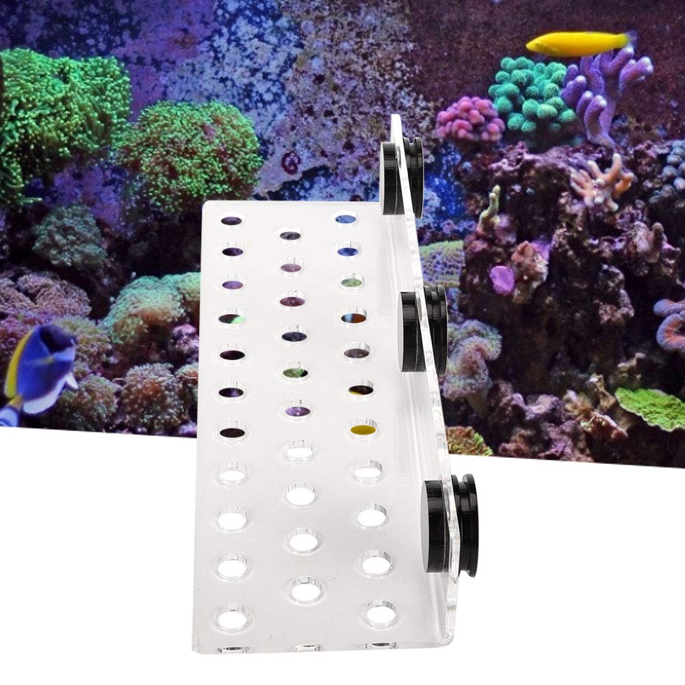Coral Rack Acuario de acrílico magnético Coral Frag Rack Soporte Base Transparente Tanque de peces Coral Frag Holder Soporte(32 Hole)