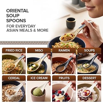 Oriental Ceramic Ramen Spoons Set of 6, Mixed Pattern Asian Soup Spoons