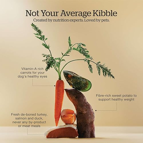 Miniatura 4 de Now Fresh Alimento para perros sin granos, 12 libras  Receta de comida seca sin granos para perros adultos con carne y pescado reales para