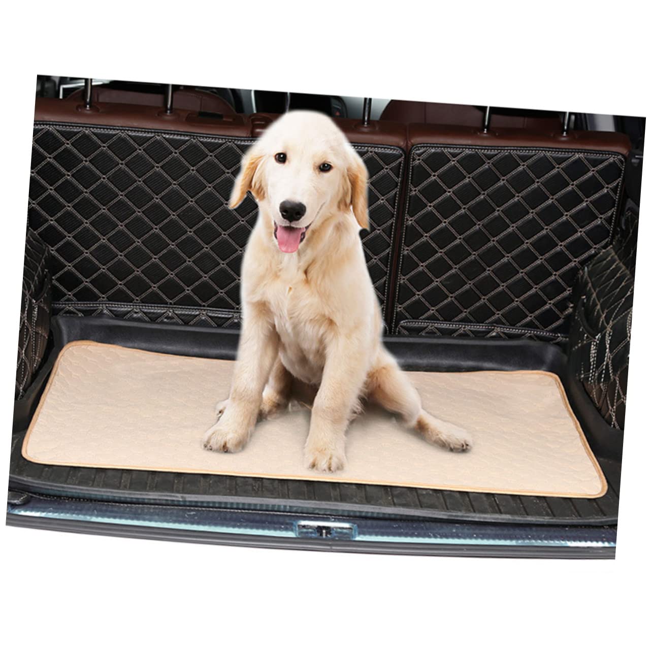 Tappetino Igienico Assorbente per Cani, Lavabile, , per Cuccioli e Addestramento alla Toilette, Riutilizzabile