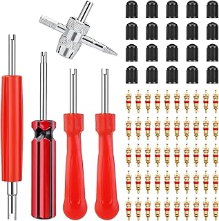 weideer Valve Stem Removal Tool Set - 50Pcs Valve Cores, 20Pcs Tire Valve Caps, 1Pcs 4-Way Valve Tool, 3Pcs Single Head Valve Core Remover, 1Pcs Dual Head Valve Core Remover Tool