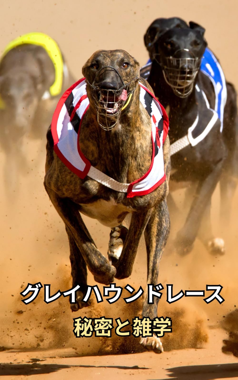 グレイハウンドレース: 秘密と雑学