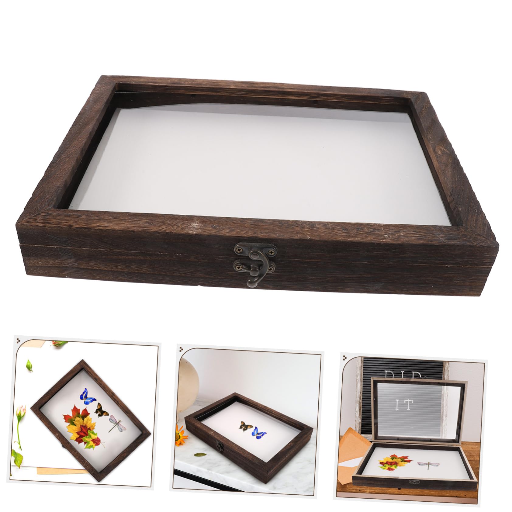 Garneck Scatola di Legno per Insetti con Coperchio Trasparente, Teca Entomologica per Farfalle, Protezione Dalla Polvere e Decorazione da Scrivania Stile Casuale