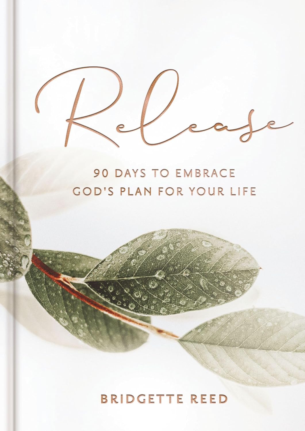 Release: 90 Days to Embrace God's Plans for Your Life (A 90-Day Devotional)
