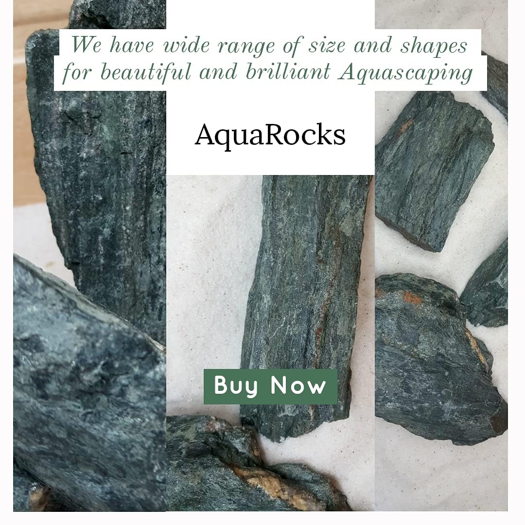 AquaRocks Iwagumi Style Rough-Textured Aquascaping Rocks for Aquarium Decoration, Reef Tank Setup, Terrariums, etc. (Sacramento Green, 1.8 kg) 1